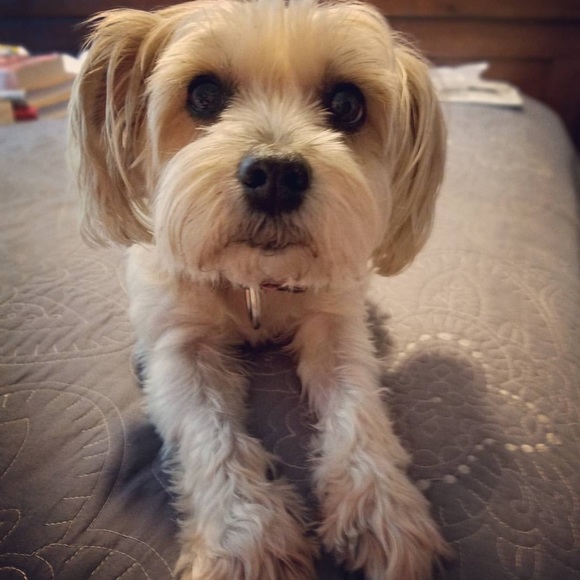 Meet your Posher, E-P - Picture 6 of 6